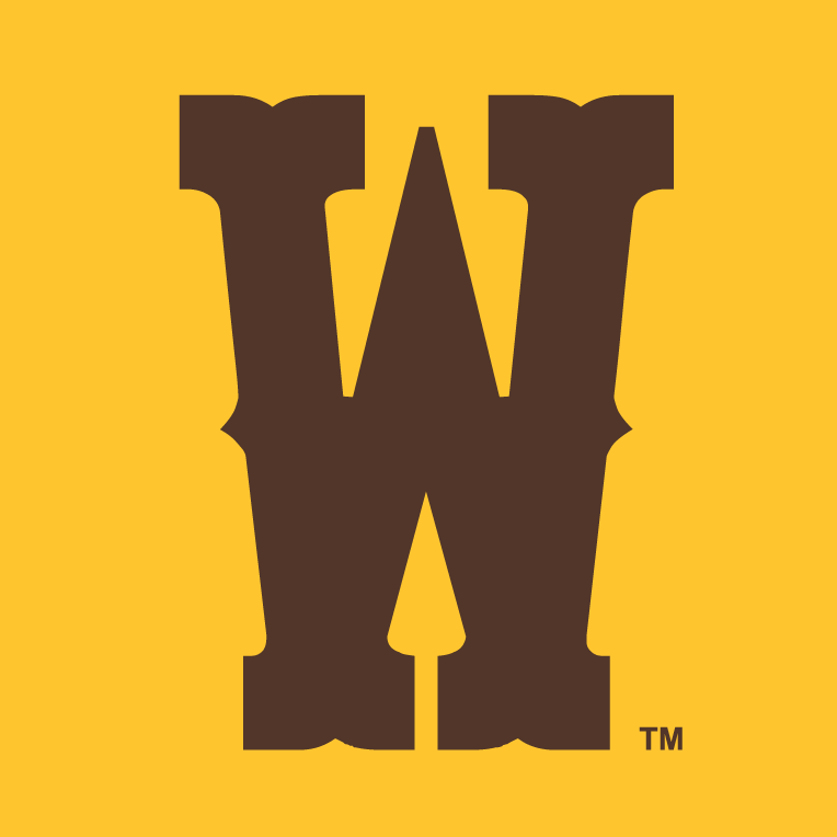 Wyoming Cowboys 2013-Pres Secondary Logo v3 DIY iron on transfer (heat transfer)